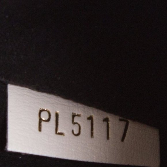 โSOLDโ Louis Vuitton Chantilly Lock Reverse Bag - Picture 14 of 16